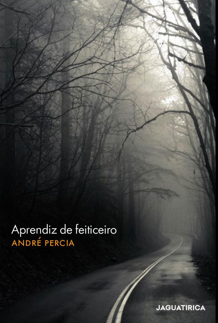 Capa de Aprendiz de Feiticeiro